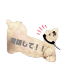 マルプーポーちゃん日常スタンプ（個別スタンプ：22）