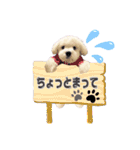 マルプーポーちゃん日常スタンプ（個別スタンプ：23）
