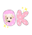 マルプーポーちゃん日常スタンプ（個別スタンプ：28）