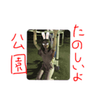 おとももちyeah（個別スタンプ：6）