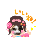 猫の七五三（個別スタンプ：3）