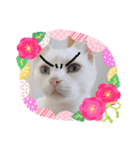 猫の七五三（個別スタンプ：6）