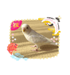 猫の七五三（個別スタンプ：8）