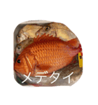 信国（個別スタンプ：8）