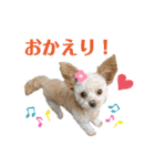 またまたモカちゃん日記（個別スタンプ：4）