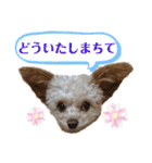 またまたモカちゃん日記（個別スタンプ：5）