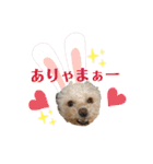 またまたモカちゃん日記（個別スタンプ：7）
