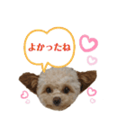 またまたモカちゃん日記（個別スタンプ：8）