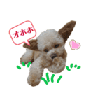 またまたモカちゃん日記（個別スタンプ：13）