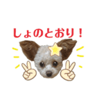 またまたモカちゃん日記（個別スタンプ：21）