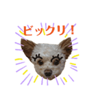 またまたモカちゃん日記（個別スタンプ：30）