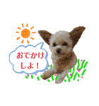 またまたモカちゃん日記（個別スタンプ：32）