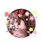 お茶目なkokkochan（個別スタンプ：5）