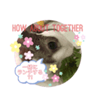 お茶目なkokkochan（個別スタンプ：8）