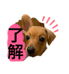 やぎしたfamily（個別スタンプ：2）