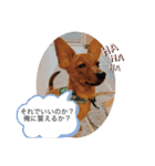 やぎしたfamily（個別スタンプ：5）