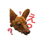 やぎしたfamily（個別スタンプ：8）