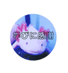 はどたかすたんぷ（個別スタンプ：7）