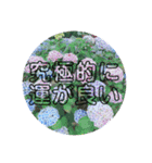 はどたかすたんぷ（個別スタンプ：16）