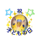 愛しのインコ・イベント＆日常編（個別スタンプ：15）