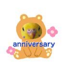 愛しのインコ・イベント＆日常編（個別スタンプ：17）