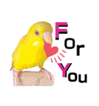 愛しのインコ・イベント＆日常編（個別スタンプ：18）