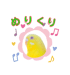 愛しのインコ・イベント＆日常編（個別スタンプ：23）