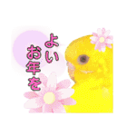 愛しのインコ・イベント＆日常編（個別スタンプ：28）