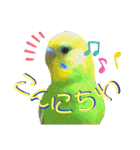 愛しのインコ・イベント＆日常編（個別スタンプ：32）