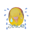 愛しのインコ・イベント＆日常編（個別スタンプ：35）