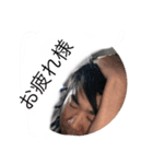 寺田メンバー公式スタンプ（個別スタンプ：2）