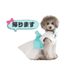 私はメルシー！2（個別スタンプ：5）