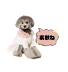 私はメルシー！2（個別スタンプ：8）