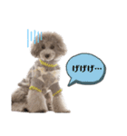 私はメルシー！2（個別スタンプ：10）
