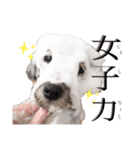 私はメルシー！2（個別スタンプ：15）