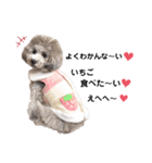 私はメルシー！2（個別スタンプ：21）