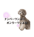 私はメルシー！2（個別スタンプ：24）