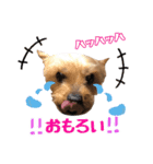 我が家のぶろちん2（個別スタンプ：5）