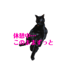 使えそうで使えない空輔スタンプ（個別スタンプ：9）