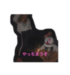 樹里専用スタンプ（個別スタンプ：1）