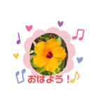 My Flower Stamp 七五三（個別スタンプ：1）