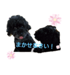 デンライ2（個別スタンプ：1）