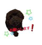 デンライ2（個別スタンプ：5）