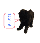 デンライ2（個別スタンプ：6）