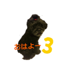デンライ2（個別スタンプ：8）
