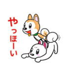 柴犬のゲン☆タロ（個別スタンプ：9）
