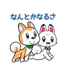 柴犬のゲン☆タロ（個別スタンプ：24）