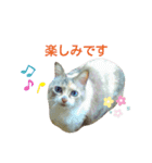 ラブリーメイちゃん（個別スタンプ：9）