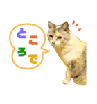 ラブリーメイちゃん（個別スタンプ：13）