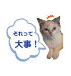 ラブリーメイちゃん（個別スタンプ：16）